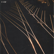 Load image into Gallery viewer, HAMILTON LEITHAUSER - BLACK HOURS ( 12" RECORD )