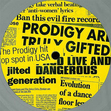 Load image into Gallery viewer, THE PRODIGY - THEIR LAW ( 12" RECORD )