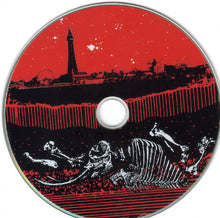 Load image into Gallery viewer, WHITE STRIPES - UNDER BLACKPOOL LIGHTS ( DIGITAL VERSATILE DISC )