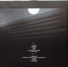 Load image into Gallery viewer, INTERPOL - TURN ON THE BRIGHT LIGHTS ( 12&quot; RECORD )