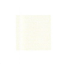 Load image into Gallery viewer, A Place To Bury Strangers – Transfixiation