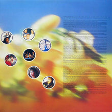 Load image into Gallery viewer, Various – The Hits Album