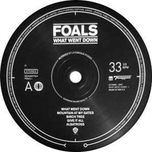Load image into Gallery viewer, Foals – What Went Down