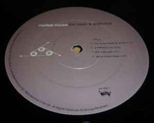 Load image into Gallery viewer, Modest Mouse – The Moon & Antarctica