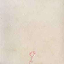 Load image into Gallery viewer, Devendra Banhart – Cripple Crow