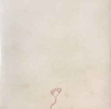 Load image into Gallery viewer, Devendra Banhart – Cripple Crow