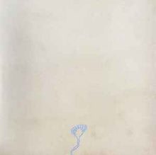 Load image into Gallery viewer, Devendra Banhart – Cripple Crow