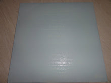 Load image into Gallery viewer, MG - MG EP ( 12" RECORD )