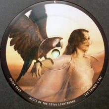 Load image into Gallery viewer, JOANNA NEWSOM - DIVERS ( 12" RECORD )