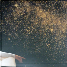 Load image into Gallery viewer, JOANNA NEWSOM - DIVERS ( 12" RECORD )