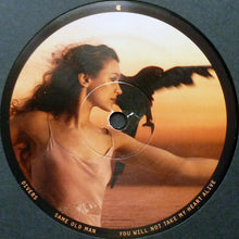 Load image into Gallery viewer, JOANNA NEWSOM - DIVERS ( 12" RECORD )