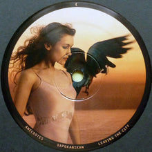 Load image into Gallery viewer, JOANNA NEWSOM - DIVERS ( 12" RECORD )