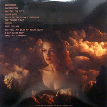 Load image into Gallery viewer, JOANNA NEWSOM - DIVERS ( 12" RECORD )