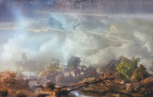 Load image into Gallery viewer, JOANNA NEWSOM - DIVERS ( 12" RECORD )