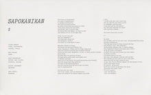Load image into Gallery viewer, JOANNA NEWSOM - DIVERS ( 12" RECORD )