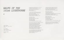 Load image into Gallery viewer, JOANNA NEWSOM - DIVERS ( 12" RECORD )