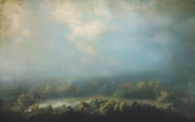 Load image into Gallery viewer, JOANNA NEWSOM - DIVERS ( 12" RECORD )