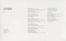 Load image into Gallery viewer, JOANNA NEWSOM - DIVERS ( 12" RECORD )