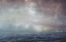 Load image into Gallery viewer, JOANNA NEWSOM - DIVERS ( 12" RECORD )