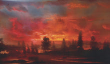 Load image into Gallery viewer, JOANNA NEWSOM - DIVERS ( 12" RECORD )