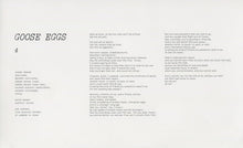 Load image into Gallery viewer, JOANNA NEWSOM - DIVERS ( 12" RECORD )