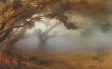 Load image into Gallery viewer, JOANNA NEWSOM - DIVERS ( 12" RECORD )