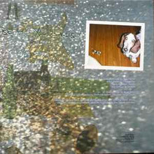 Load image into Gallery viewer, Yo La Tengo – I Am Not Afraid Of You And I Will Beat Your Ass