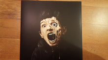 Load image into Gallery viewer, ONEOHTRIX POINT NEVER - GARDEN OF DELETE ( 12" RECORD )
