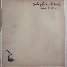 Load image into Gallery viewer, Babyshambles – Down In Albion