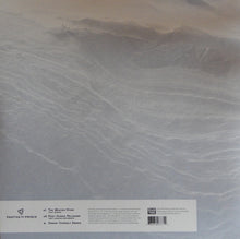 Load image into Gallery viewer, PANTHA DU PRINCE - THE WINTERHYMN ( 12" RECORD )