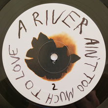 Load image into Gallery viewer, Smog – A River Ain't Too Much To Love