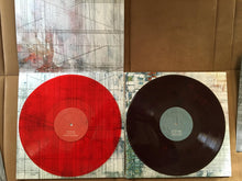Load image into Gallery viewer, EXPLOSIONS IN THE SKY - THE WILDERNESS ( 12" RECORD )