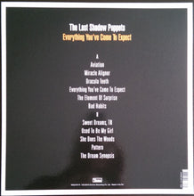 Load image into Gallery viewer, THE LAST SHADOW PUPPETS - EVERYTHING YOU'VE COME TO EXPECT ( 12" RECORD )