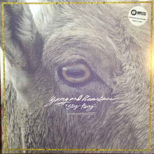 Load image into Gallery viewer, YOUNG AND HEARTLESS - STAY AWAY ( 12" RECORD )
