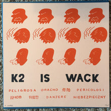Load image into Gallery viewer, PARQUET COURTS - HUMAN PERFORMANCE ( 12" RECORD )