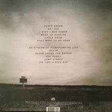 Load image into Gallery viewer, Frightened Rabbit – Painting Of A Panic Attack