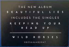 Load image into Gallery viewer, Birdy (8) – Beautiful Lies