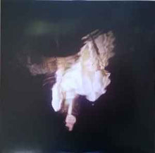 Load image into Gallery viewer, Birdy (8) – Beautiful Lies