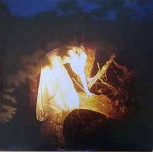 Load image into Gallery viewer, Birdy (8) – Beautiful Lies