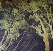 Load image into Gallery viewer, PANTHA DU PRINCE - THE TRIAD ( 12" RECORD )
