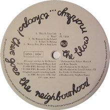 Load image into Gallery viewer, The Blow Monkeys – Whoops! There Goes The Neighbourhood