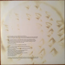 Load image into Gallery viewer, MICK HARVEY - DELIRIUM TREMENS ( 12&quot; RECORD )