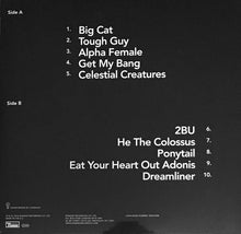 Load image into Gallery viewer, WILD BEASTS - BOY KING ( 12" RECORD )