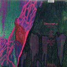 Load image into Gallery viewer, Dinosaur Jr. – Give A Glimpse Of What Yer Not