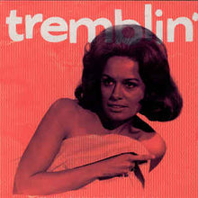 Load image into Gallery viewer, Various - Tremblin´ (LP ALBUM)