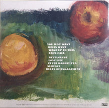 Load image into Gallery viewer, KING CREOSOTE - ASTRONAUT MEETS APPLEMAN ( 12" RECORD )