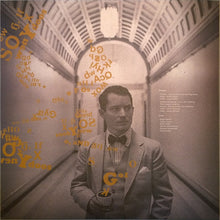 Load image into Gallery viewer, GRUFF RHYS - SET FIRE TO THE STARS ( 12" RECORD )