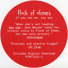 Load image into Gallery viewer, FLOCK OF DIMES - IF YOU SEE ME, SAY YES ( 12" RECORD )