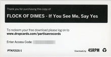 Load image into Gallery viewer, FLOCK OF DIMES - IF YOU SEE ME, SAY YES ( 12" RECORD )