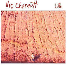 Load image into Gallery viewer, VIC CHESNUTT - LITTLE ( 12&quot; RECORD )